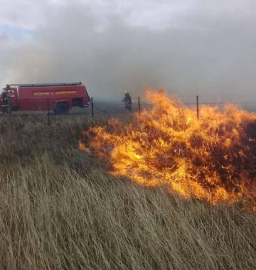 Marcos Juárez: incendio de pastizales arrasó con 60 hectáreas