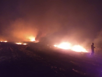 Incendio de un campo al sur de  Marcos Juárez 