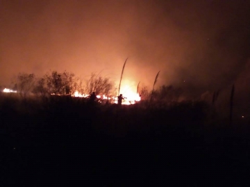 Incendio de un campo al sur de  Marcos Juárez 