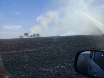 Bomberos de toda la región trabajaron 6 horas en incendio rural al sur de Tortugas