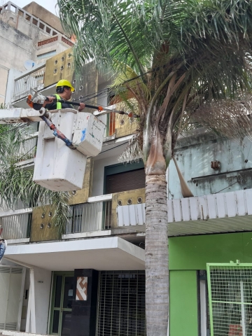 Municipio cañadense refuerza trabajos de higiene tras la tormenta