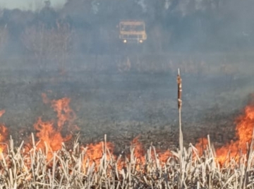 23.000 litros de agua extinguieron un incendio de pastizales y árboles 
