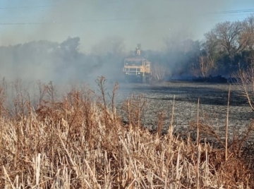 23.000 litros de agua extinguieron un incendio de pastizales y árboles 