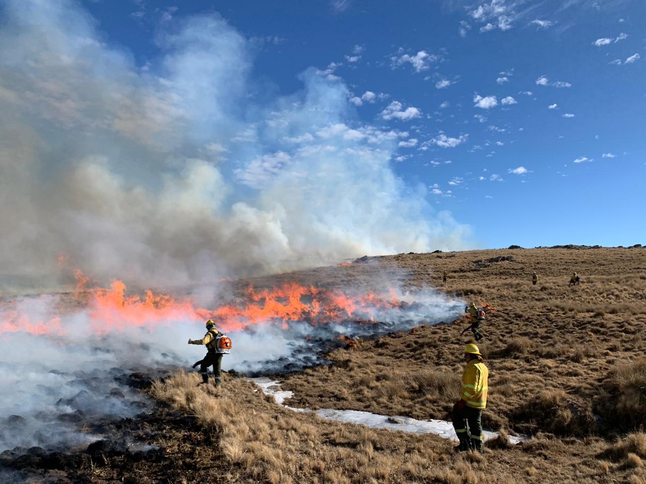 Cerro Champaquí: casi 300 bomberos inician el cuarto día consecutivo de lucha contra el fuego