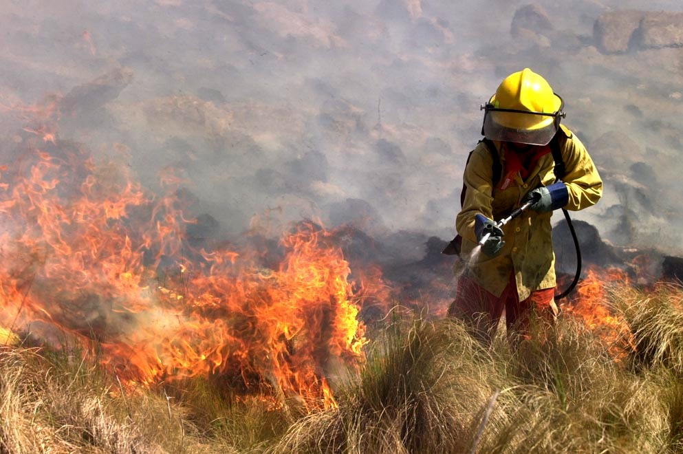 Incendio en La Calera: con focos aún activos hoy sigue la lucha contra el fuego