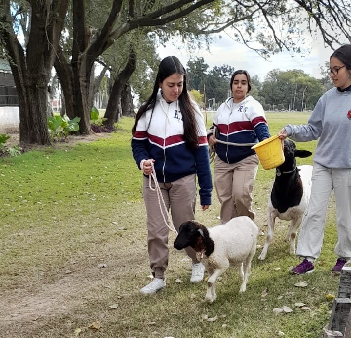 El IPEA 209 participará por primera vez  en la Expo de Rio Cuarto, no solo exhibirá sus animales, sino que también lo hará en la junta de clasificación, donde sus ejemplares serán evaluados