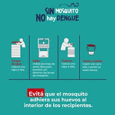 Campaña para la eliminación de criaderos de mosquitos