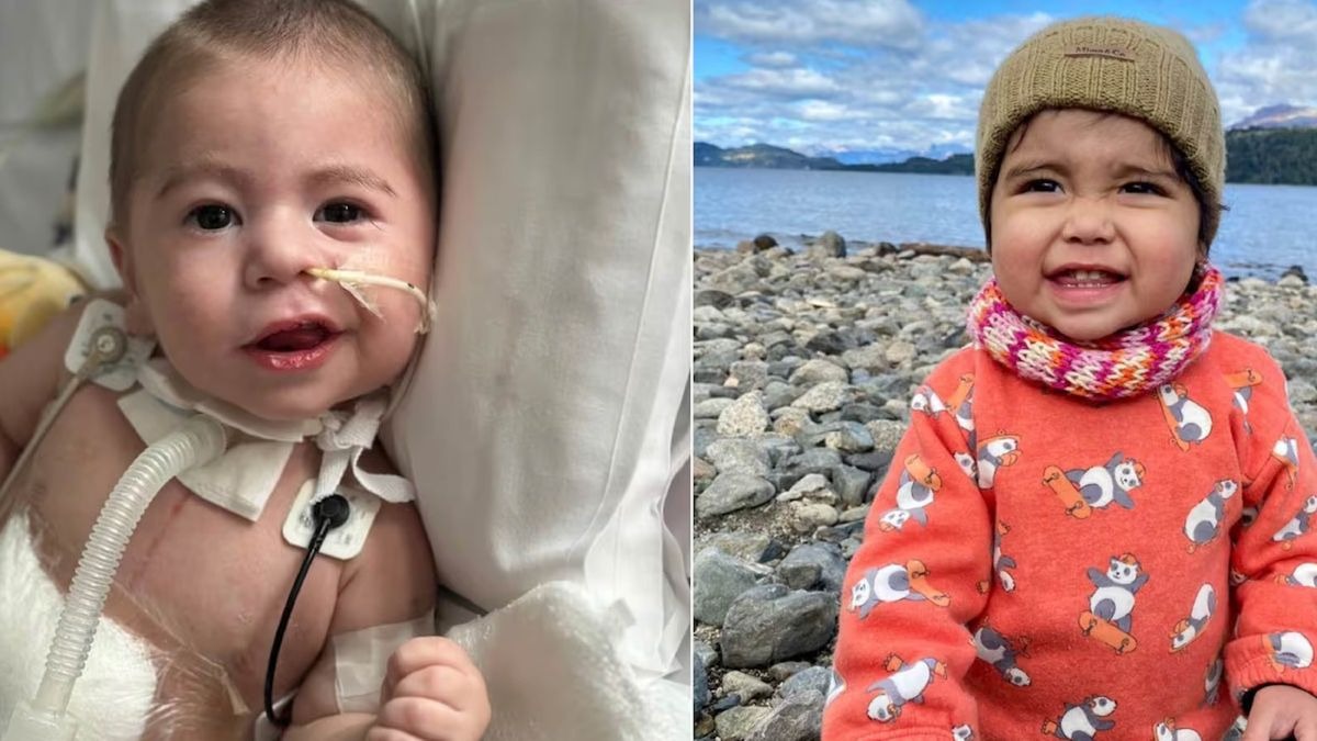 Un Corazón, Dos Vidas: El Milagroso Trasplante que Conmovió al País