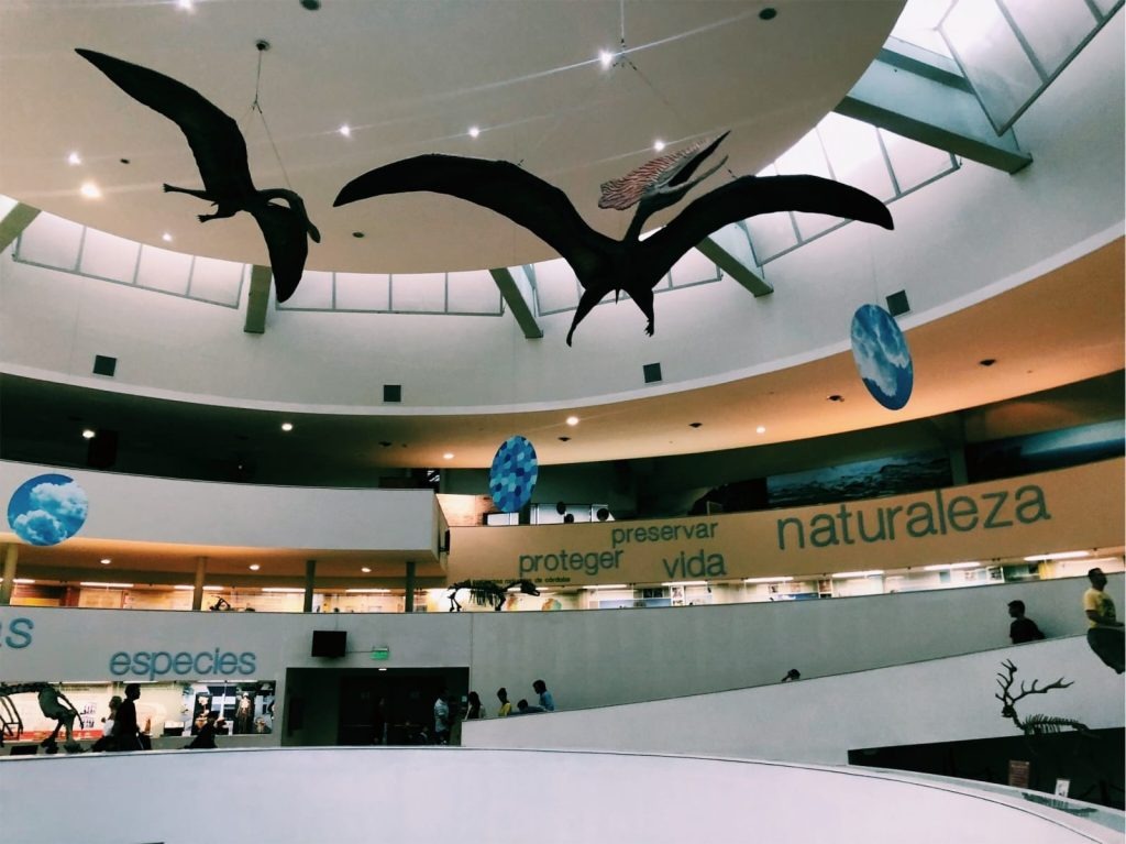Este martes también abren los museos de la provincia