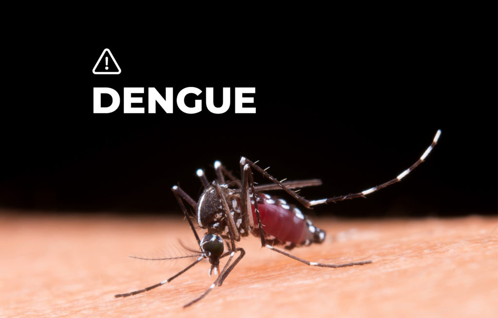 Son 33 los casos de dengue confirmados en Marcos Juárez y se alerta a la población para que extreme los cuidados