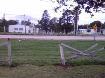 Vandalismo en el parque Loinas
