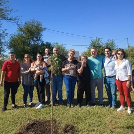 40 árboles se plantaron con el programa 