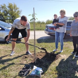 40 árboles se plantaron con el programa 