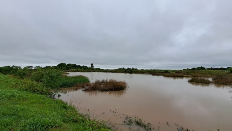 Intensa tormenta provocó daños con destrozos y un corte de energía eléctrica