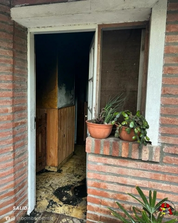 Tres perros a punto de fallecer fueron salvados por bomberos y veterinario al quedar encerrados en un incendio 